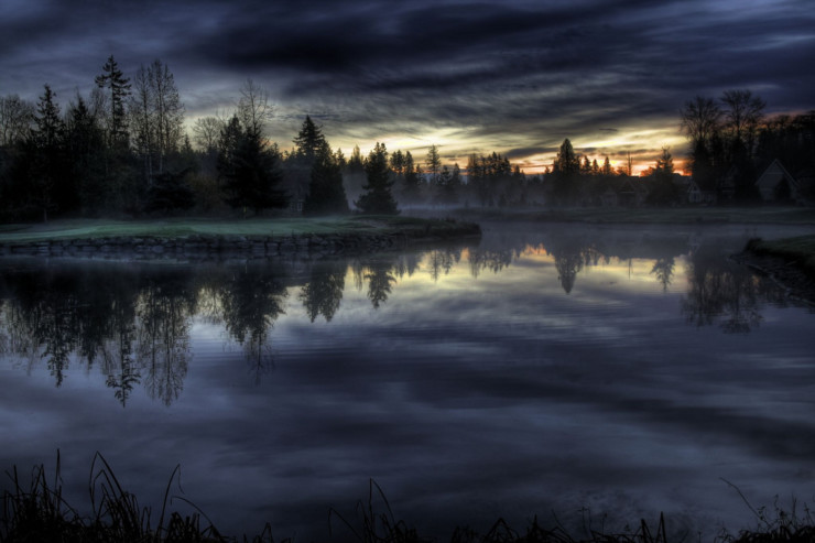 Forest morning Tolkien