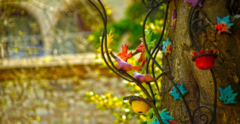Colorful Pots