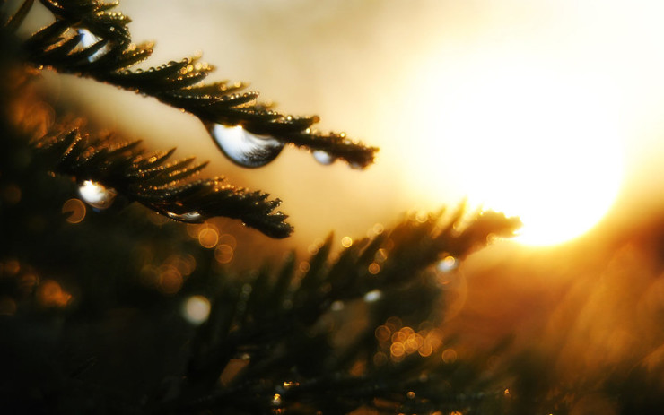 Water drops sunrise Michael Glaser