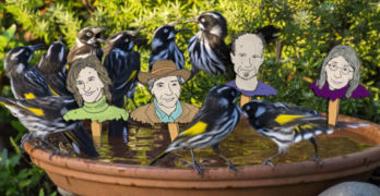 Take Your Poet to Work Day Bird Bath