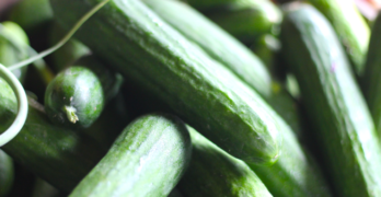Farmacology farmers market cucumbers