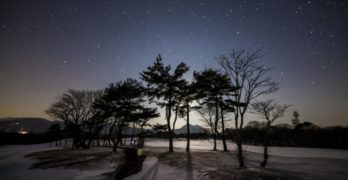 Starry winter night