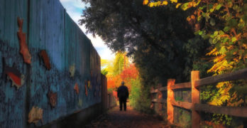 Path in autumn leaves