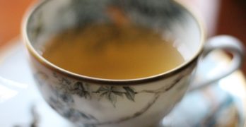 Pine Needle Tea in Wednesday Cup