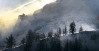 Snowfall and pines on mountain