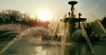 Sunset fountain pandemic journal