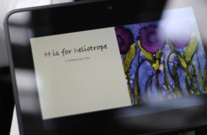Kindle-Heliotrope Cropped