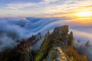 Literary Citizen Transformed Mountaintop