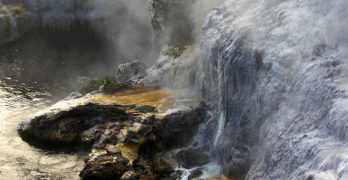 Hot springs winter stars book club