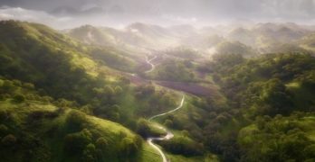 Rolling green hills with winding road for Reindeer Chronicles book club
