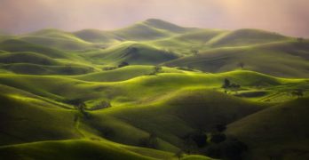 series of green dunes