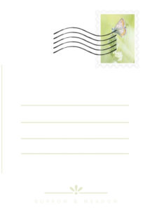 Burrow & Meadow postcard