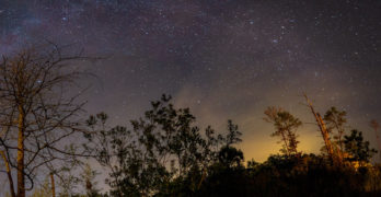 starry sky