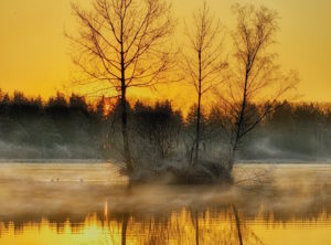Bavaria Germany Trees and Water-Calliope Muse Poem