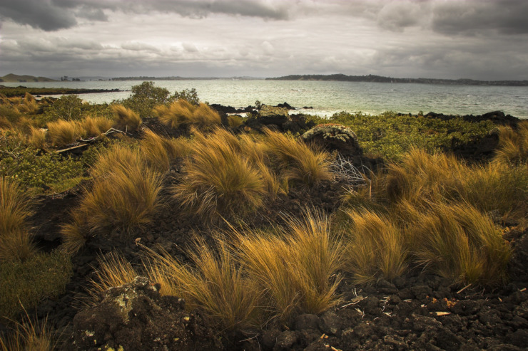 Hauraki Gulf, Australia