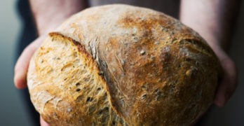 fresh baked bread