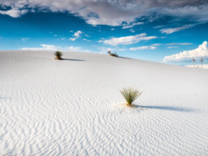 white desert sands