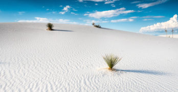 white desert sands