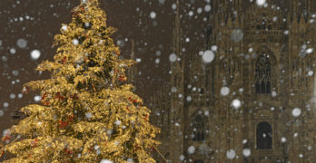 Golden Christmas tree at cathedral