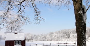 Farmstead in winter like a hermitage