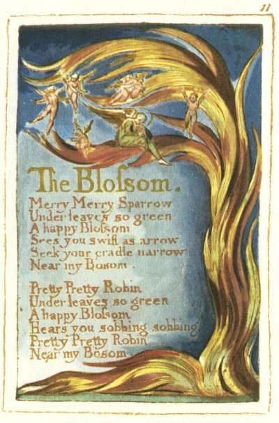 william blake the blossom