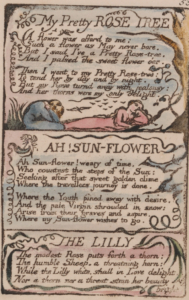 the little songs of experience