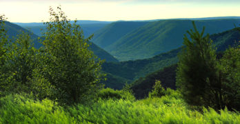 West Branch Forest Mountains-Pennsylvania
