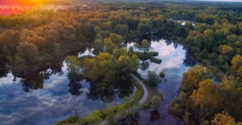 Otisville Michigan lakes trees