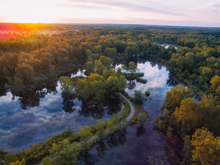 Otisville Michigan lakes trees