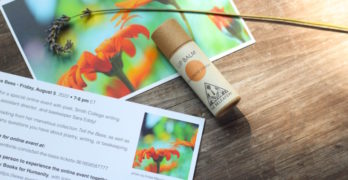 tell the bees card and balm
