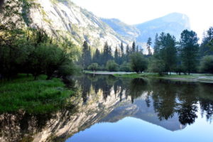 Yosemite Tania Runyan