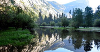 Yosemite Tania Runyan