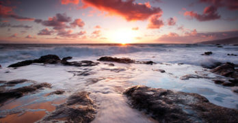 Rocky Seashore David Russell