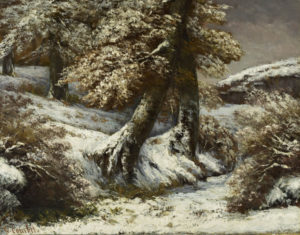 trees at night glisten with snow