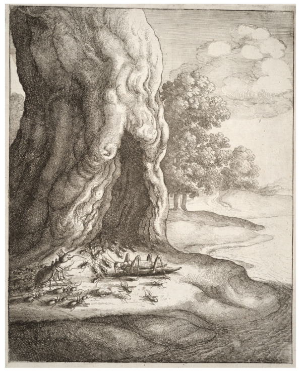 drawing of ants and grasshopper in front of tree 