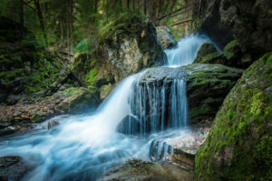 Beard Falls Holy Land ODonnell
