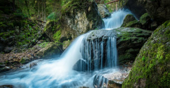 Beard Falls Holy Land ODonnell