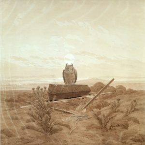 a brown owl rests on a coffin in a barren landscape.