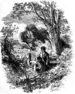 woman in a garden