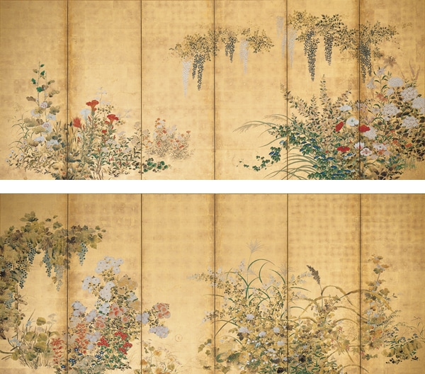 flowers in spring and fall