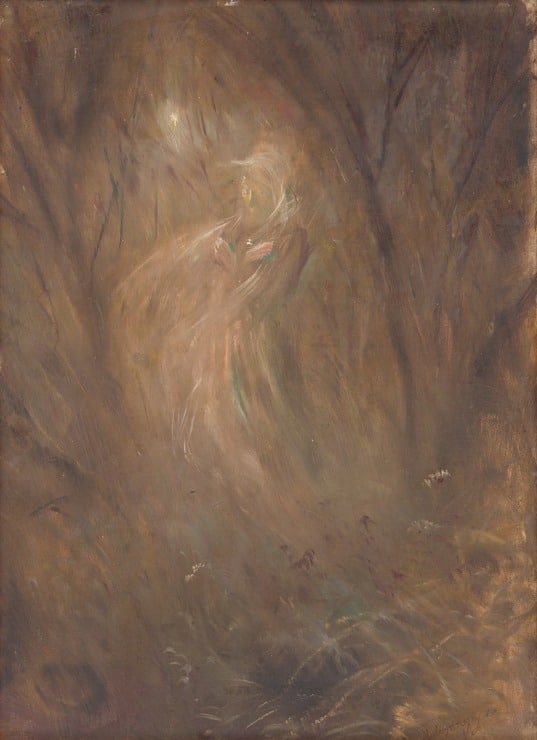 a ghost roams a forest