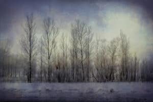 Treeline Civil War resources