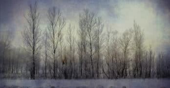 Treeline Civil War resources