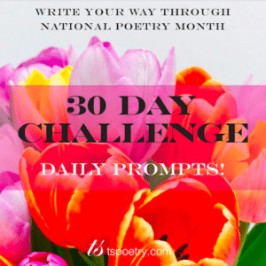 30 Day Challenge Book Cover