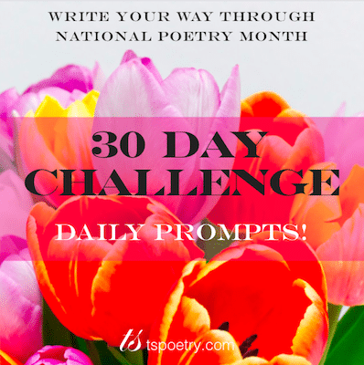 30 Day Challenge Book Cover