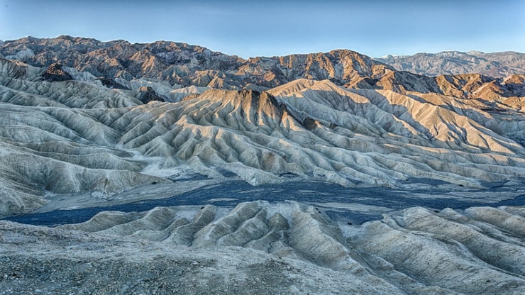 Death Valley Gander