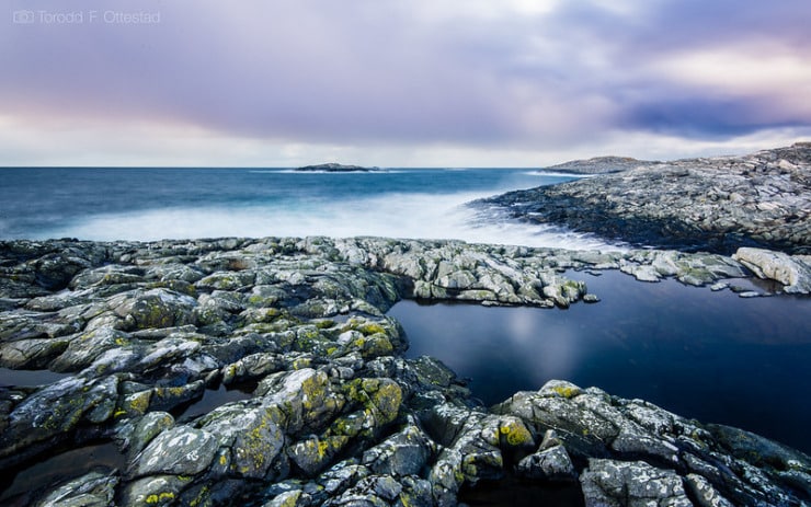 Seascape Palpant