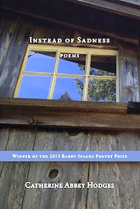 instead of sadness catherine abbey hodges