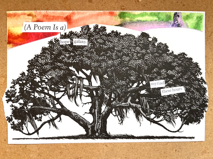 poem is a hope galaxy-catherine abbey hodges collage