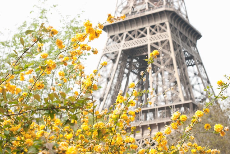 Eiffel Tower Ortega